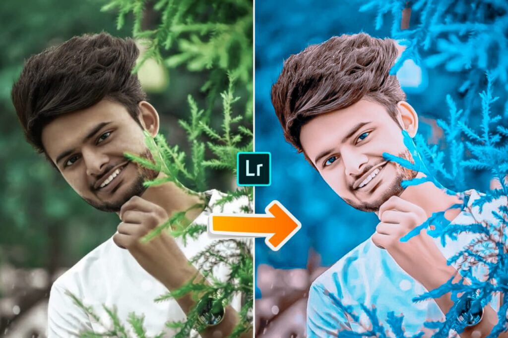 face gora lightroom presets
