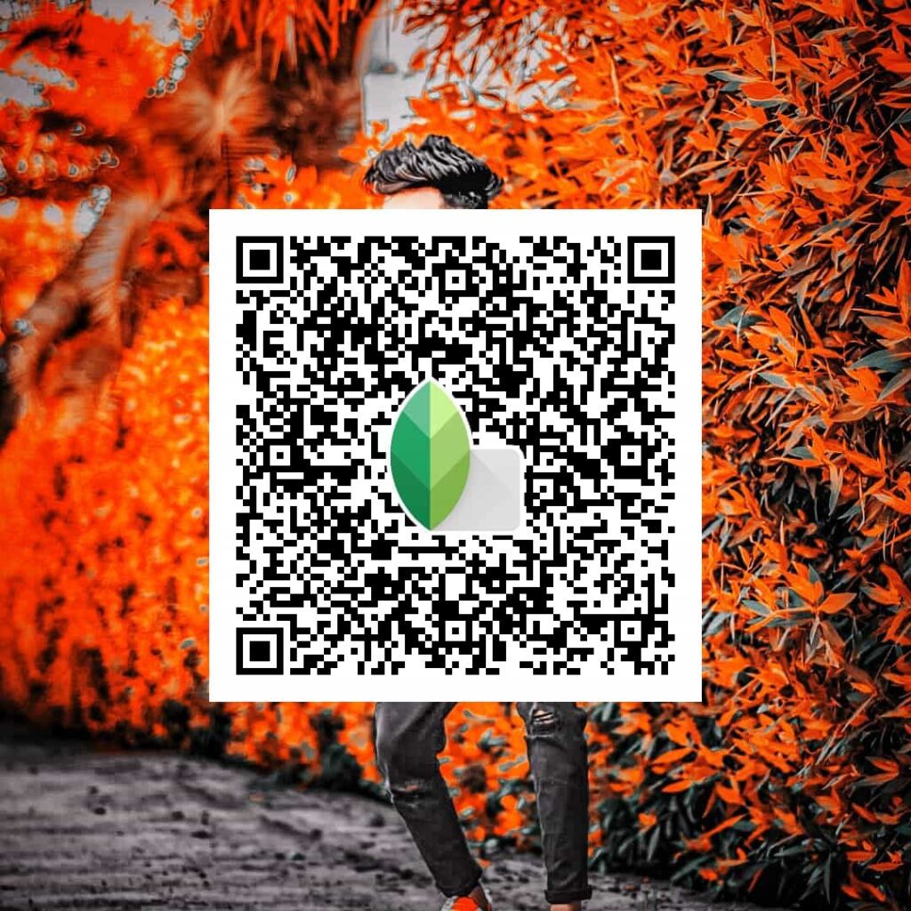 Snapseed QR codes background change