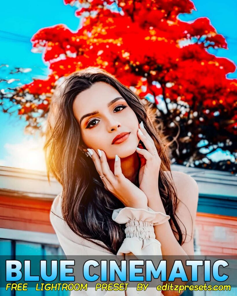 Cinematic Blue Lightroom Presets