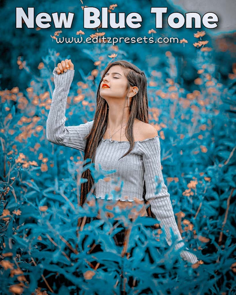 blue-preset-lightroom-mobile-free-download-2023-editz-presets-editz