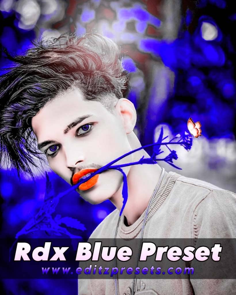 rdx editor presets free