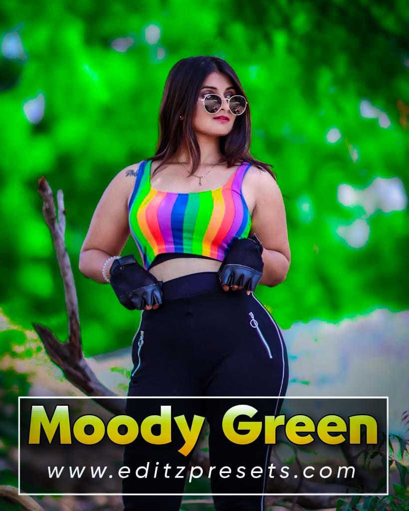Moody Green Preset for Lightroom