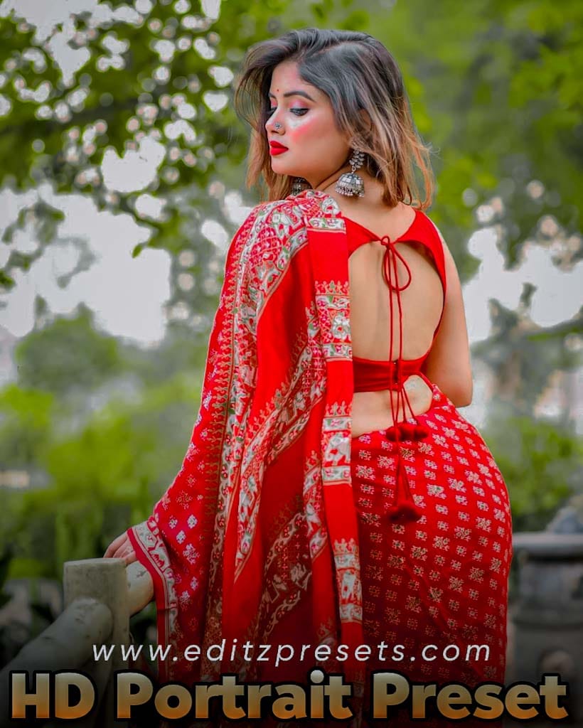 hd portrait lightroom presets